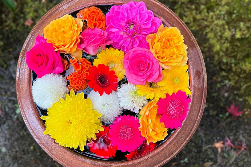 秋は華やかな手水鉢も登場します