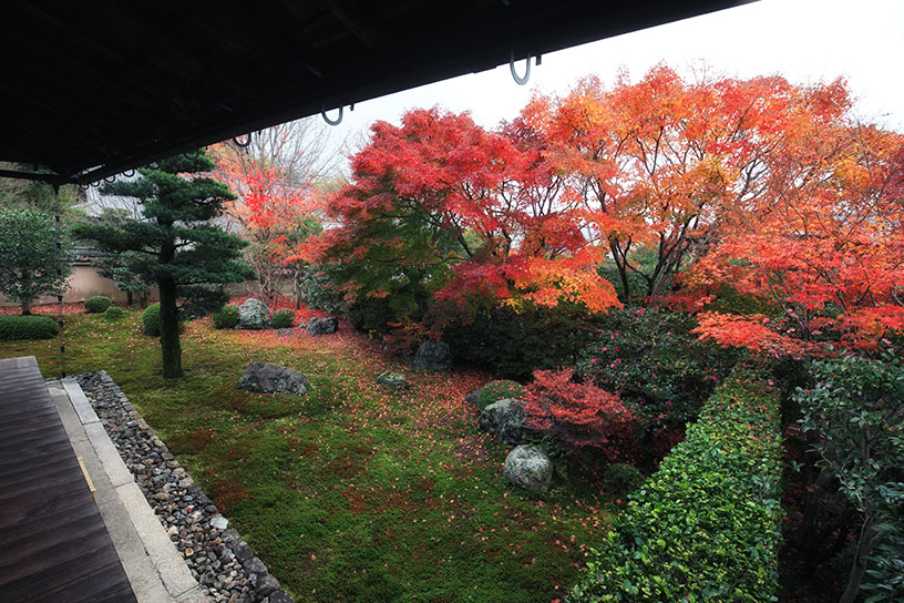 枯山水庭園（見頃のイメージ）