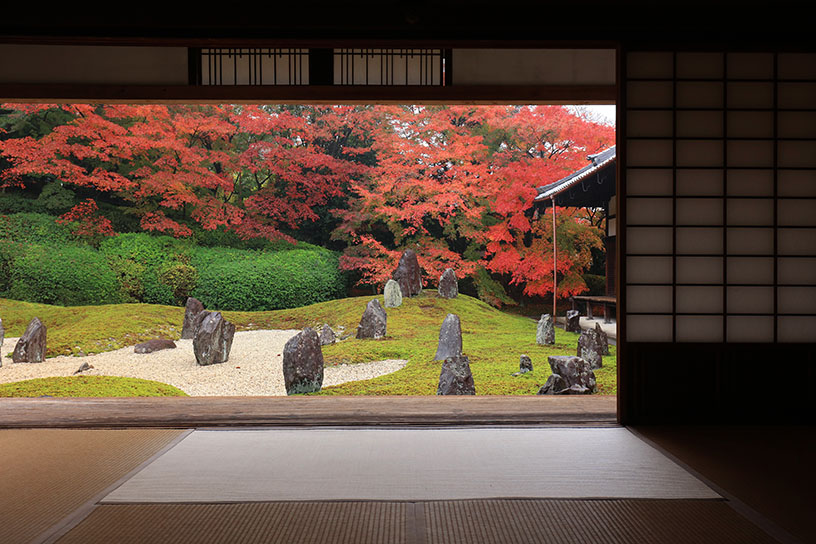 東福寺 光明院(見頃のイメージ)