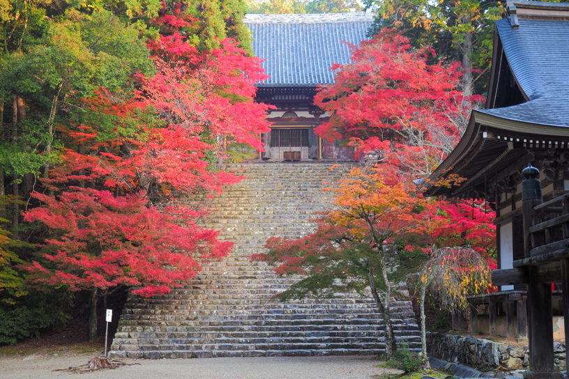 神護寺（撮影日：2025年11月14日）