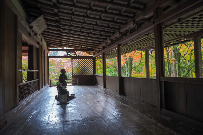 高山寺（撮影日：2025年11月14日）