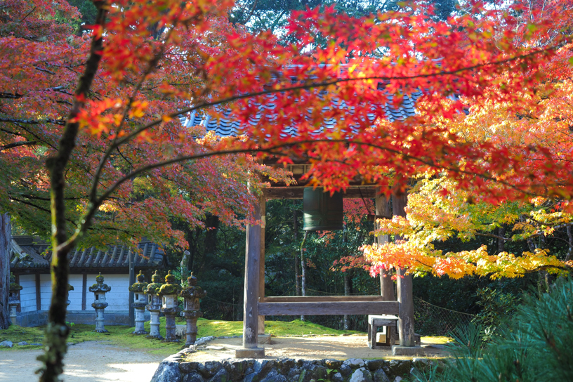 西明寺（撮影日：2025年11月14日）