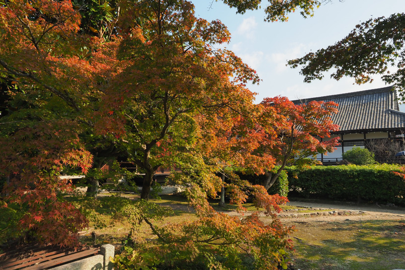 勧修寺 宸殿あたり（撮影日：2025年11月14日）