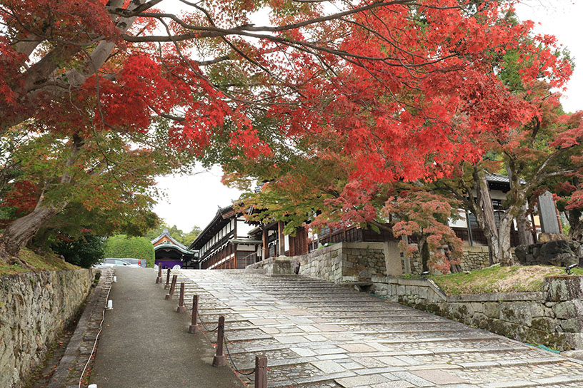 東坂（撮影日：2025年11月13日）