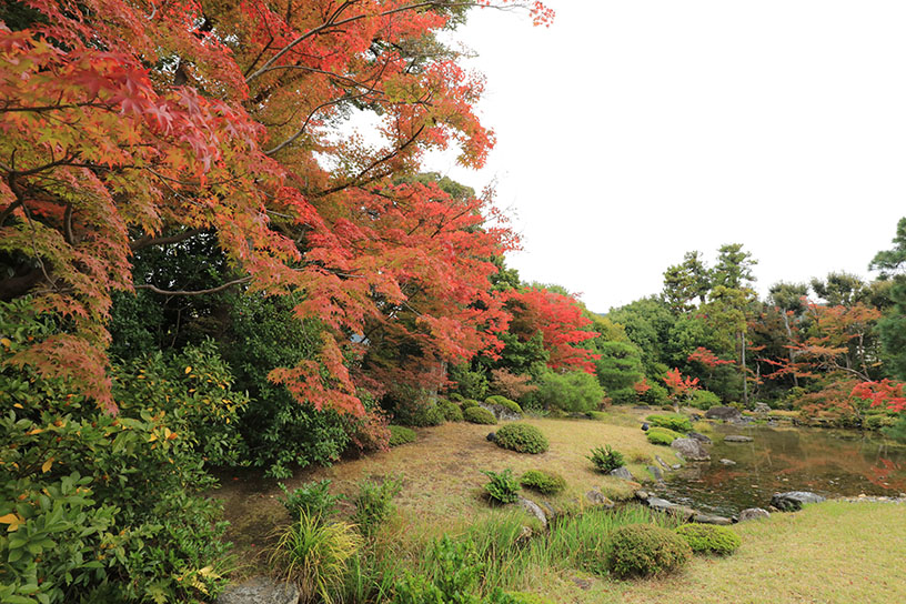 無鄰菴（撮影日：2025年11月13日）