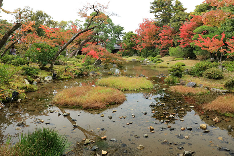 無鄰菴 庭園奥からの眺め（撮影日：2025年11月13日）