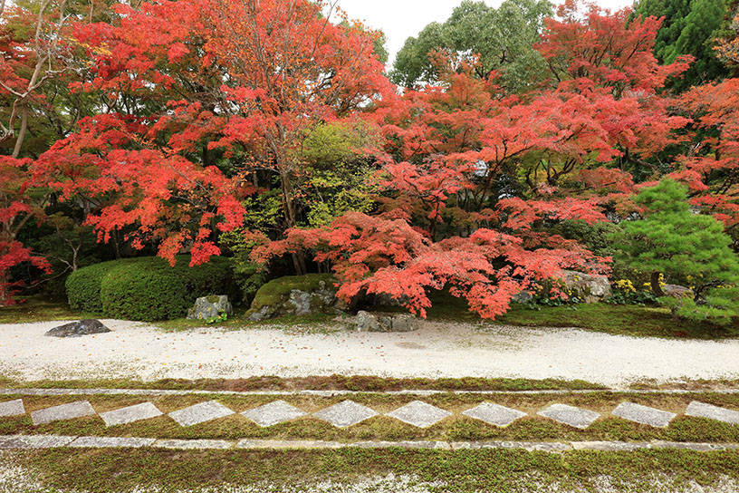 南禅寺 天授庵(撮影日:2025年11月13日)