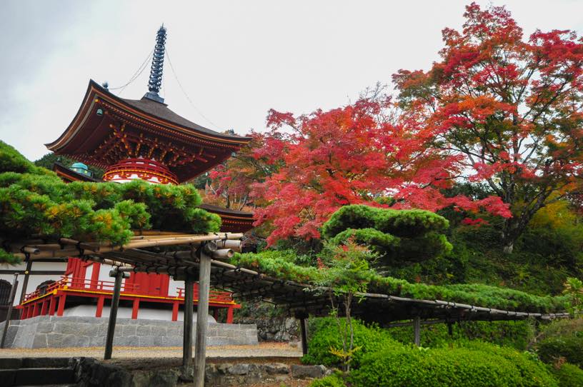 多宝塔（撮影日：2025年11月13日）