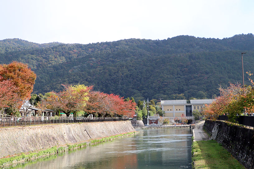 木々の色づきが美しい岡崎疏水（11月中旬のイメージ）