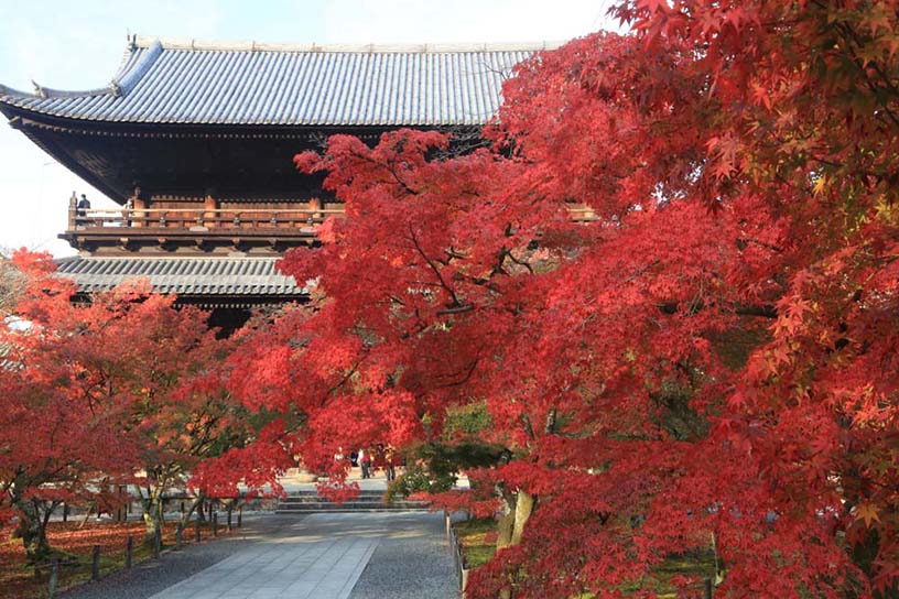 三門（11月下旬のイメージ）