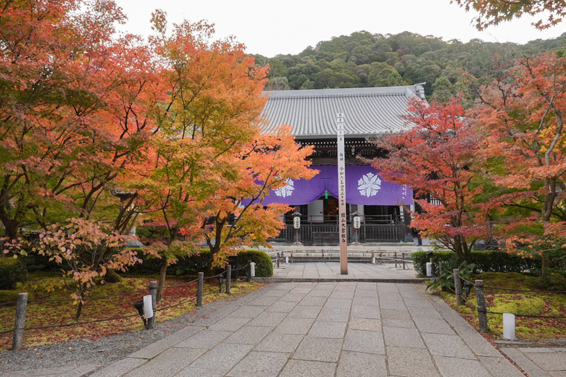 御影堂（11月下旬のイメージ）