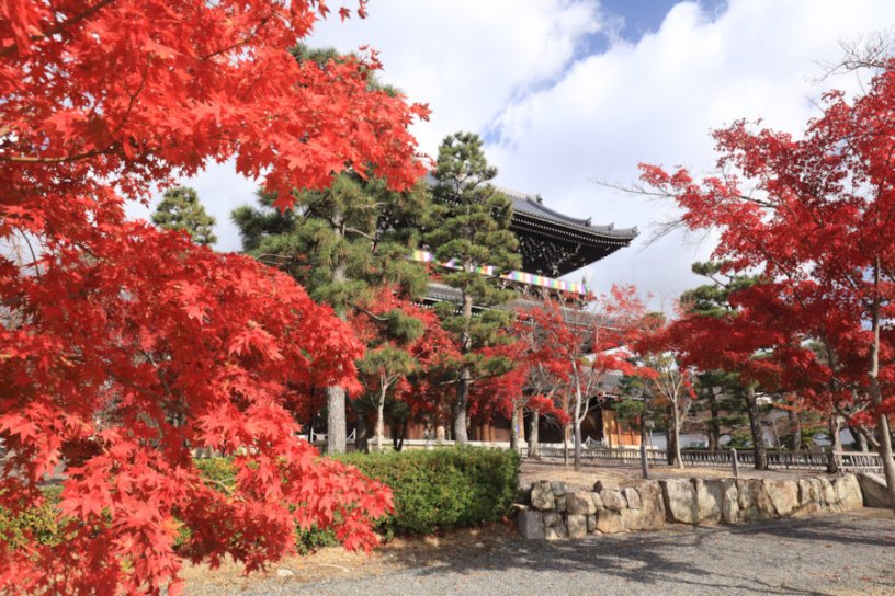 山門（11月下旬のイメージ）