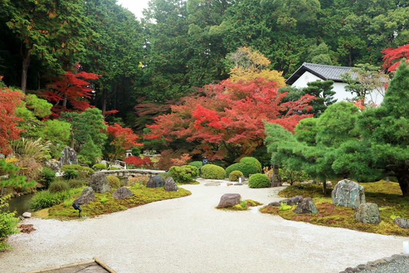 紫雲の庭（11月下旬のイメージ）