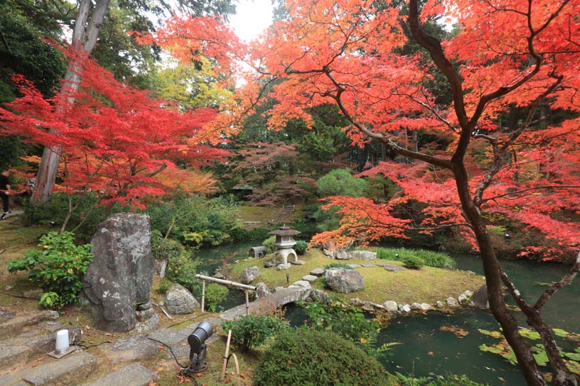 「紫雲の庭」奥には、池が広がります（11月下旬のイメージ）