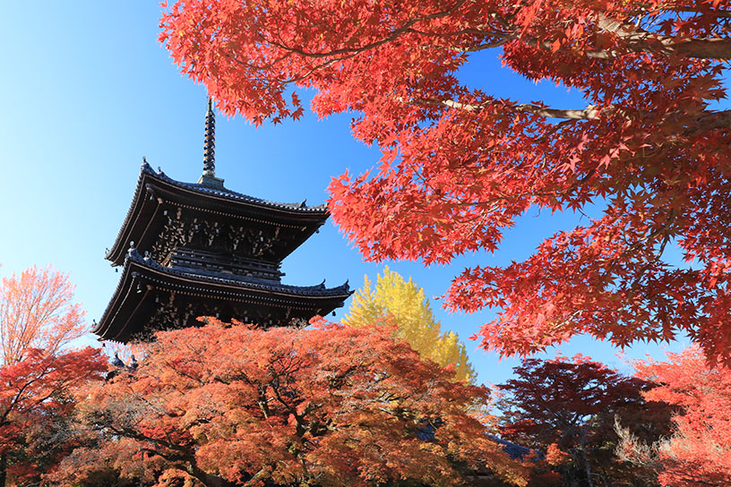 三重塔（11月下旬のイメージ）