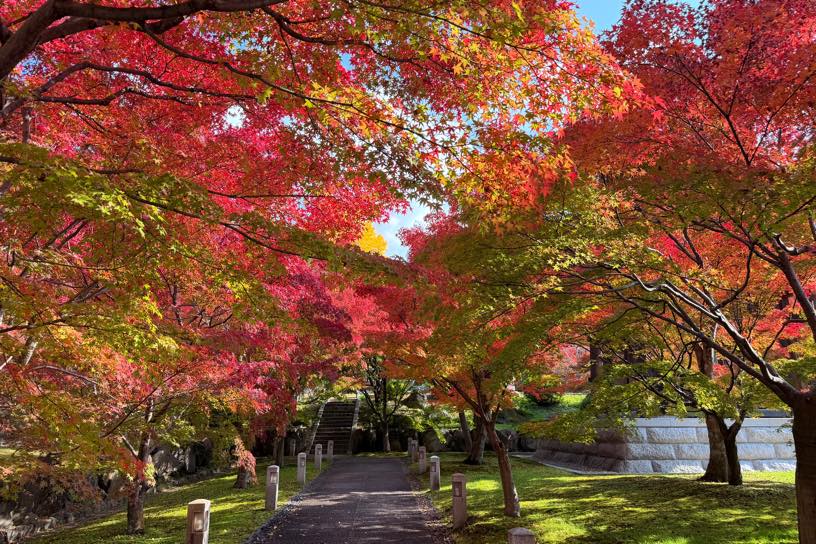鐘楼堂付近（撮影日：2025年11月21日）