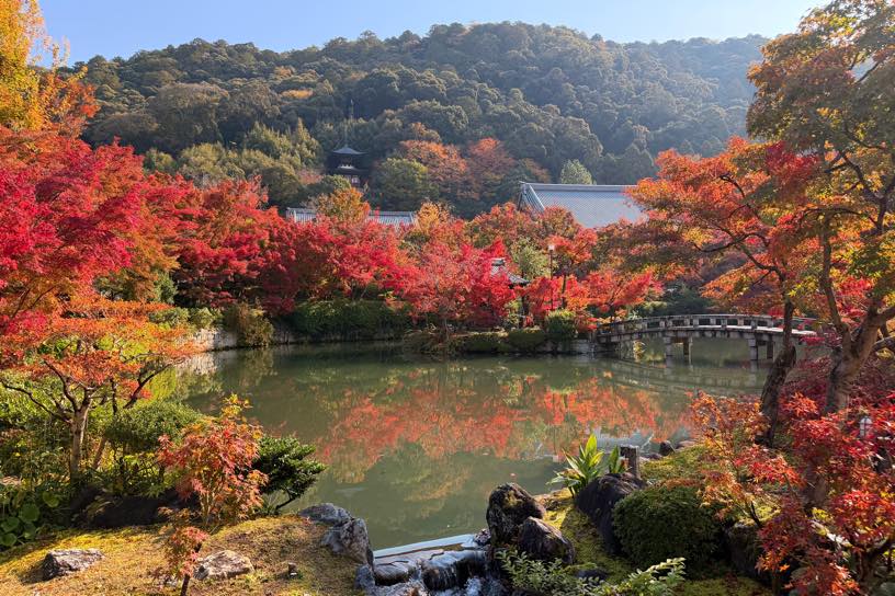 永観堂 放生池まわり（撮影日：2025年11月21日）