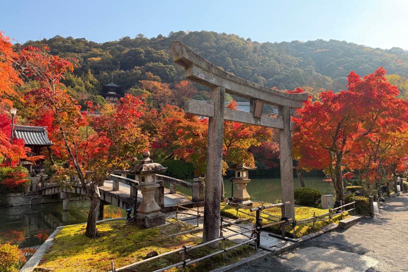 永観堂 弁天社（撮影日：2025年11月21日）