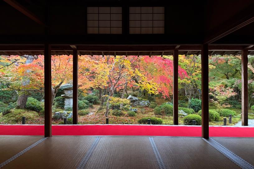 圓光寺 十牛之庭（撮影日：2025年11月21日）