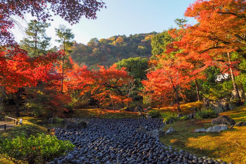 宝厳院 獅子吼の庭（撮影日：2025年11月20日）