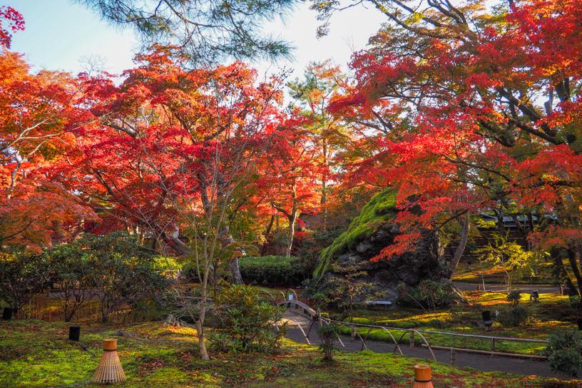 宝厳院 獅子吼の庭（撮影日：2025年11月20日）
