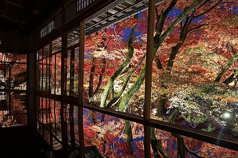 （見頃のイメージ）