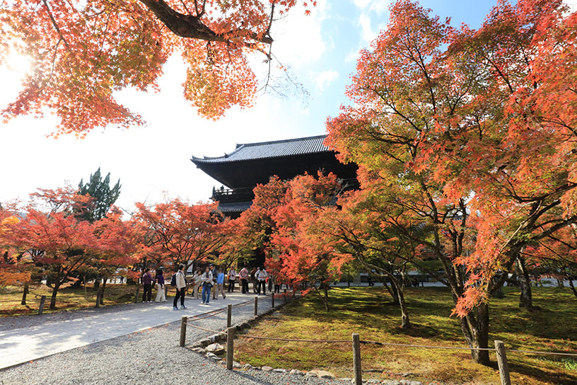 南禅寺 三門（撮影日：2025年11月21日）