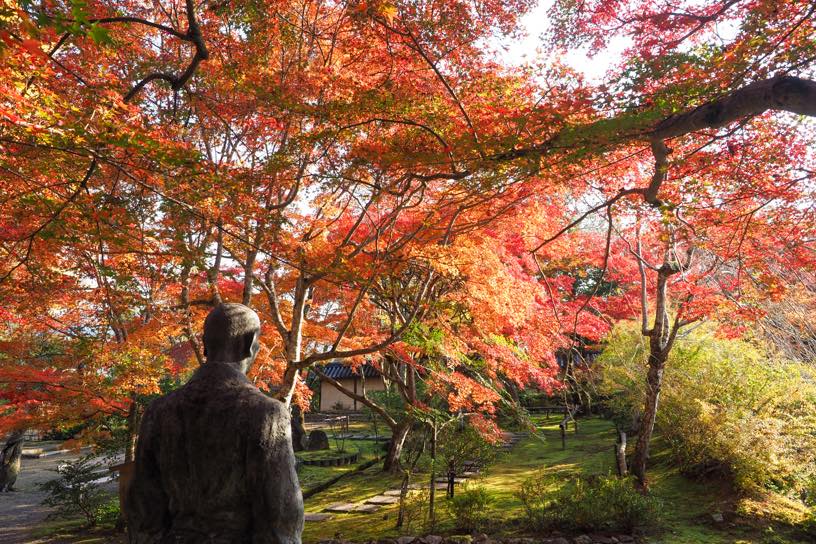二尊院 角倉了以像前（撮影日：2025年11月21日）