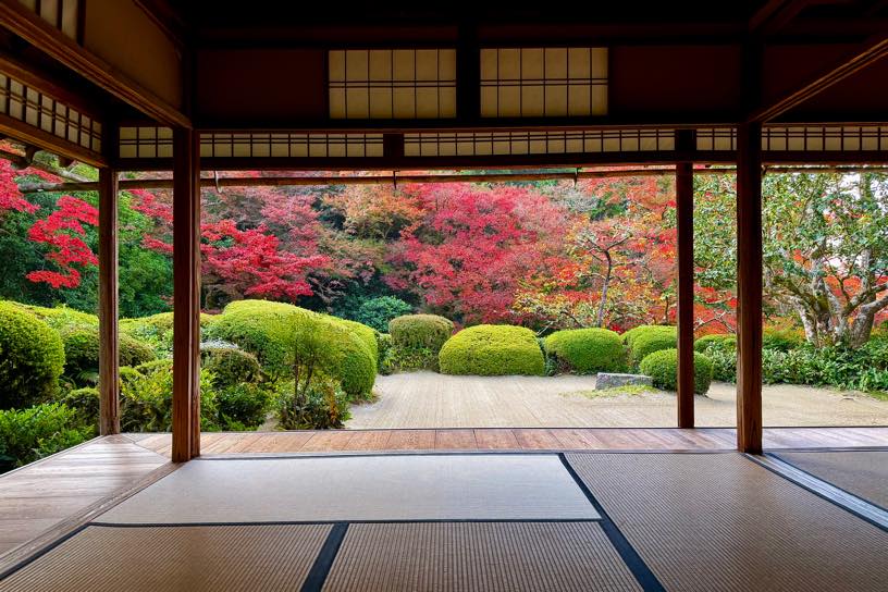 詩仙堂 書院前の庭園（撮影日：2025年11月21日）