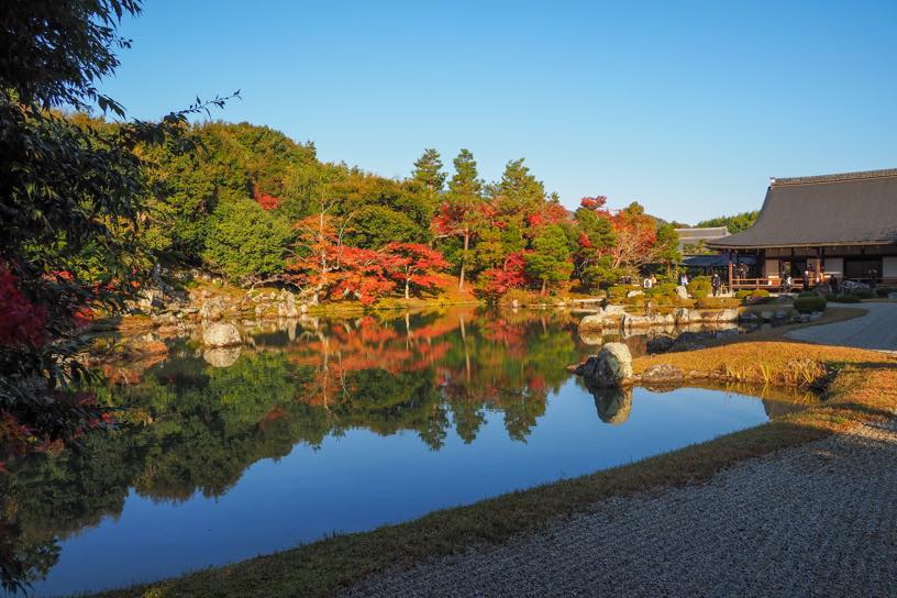 天龍寺 曹源池庭園（撮影日：2025年11月20日）
