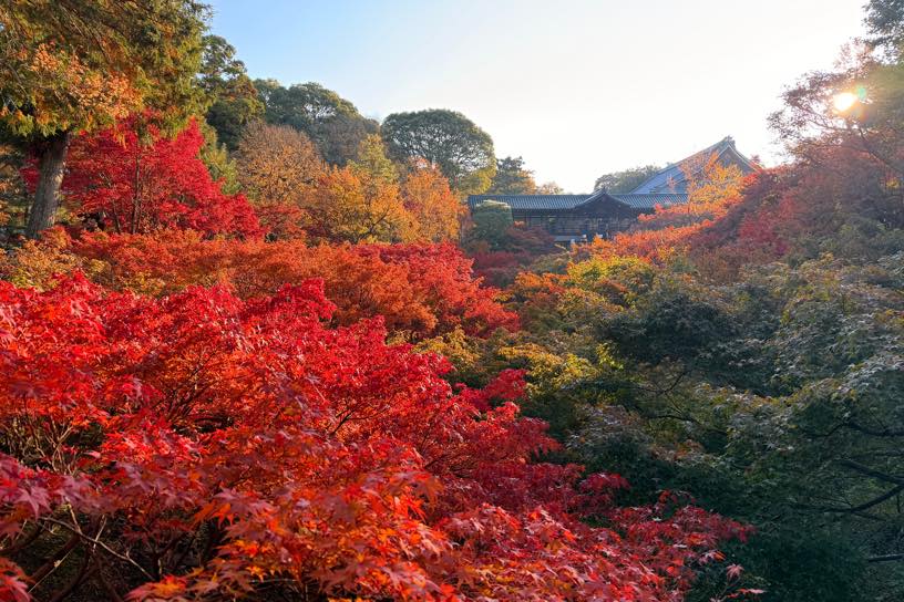 臥雲橋から通天橋を望む（撮影日：2025年11月20日）