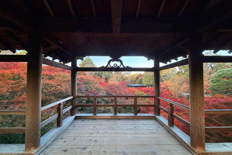 通天橋から臥雲橋を望む（撮影日：2025年11月20日）