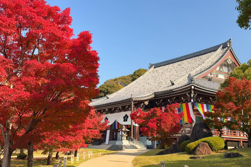 智積院（撮影日：2025年11月21日）