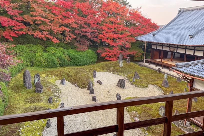 特別公開の書院2階からの眺め（撮影日：2025年11月27日）