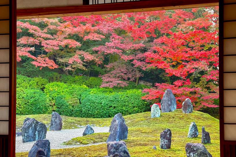 波心庭（撮影日：2025年11月27日）