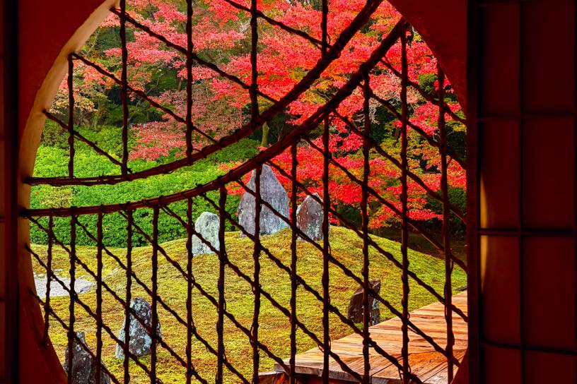 吉野窓から眺める波心庭は、CMにも登場しました（撮影日：2025年11月27日）