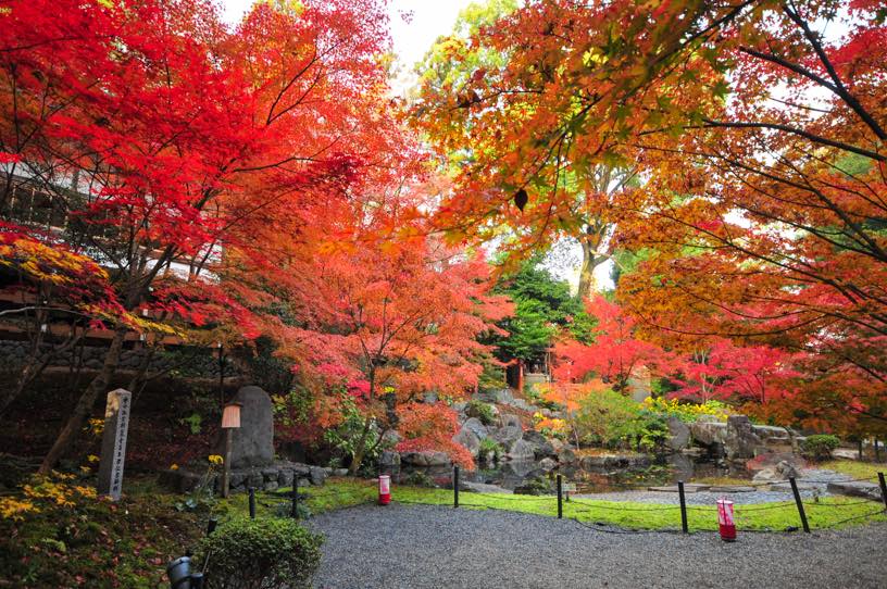 長岡天満宮 錦景苑（撮影日：2025年11月27日）