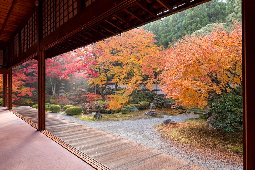 泉涌寺 御座所庭園（撮影日：2025年11月27日）