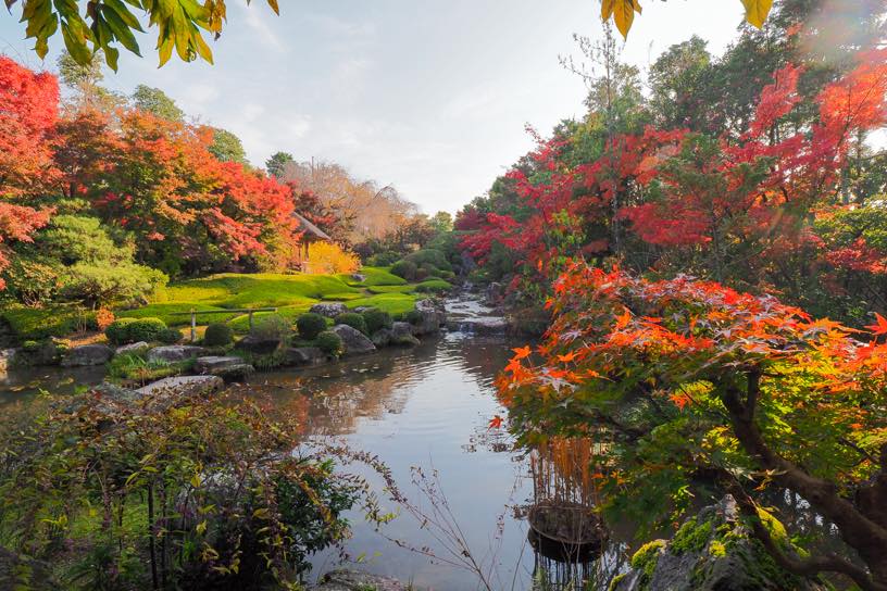 妙心寺 退蔵院 余香苑（撮影日：2025年11月27日）
