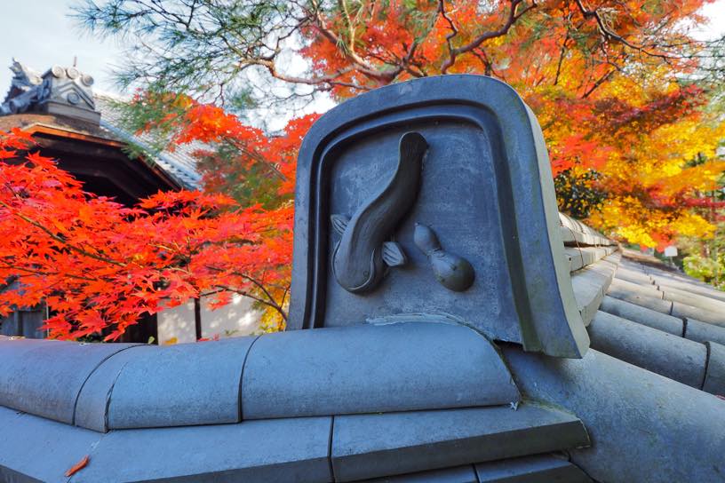 妙心寺 退蔵院 可愛らしい瓦を発見！（撮影日：2025年11月27日）