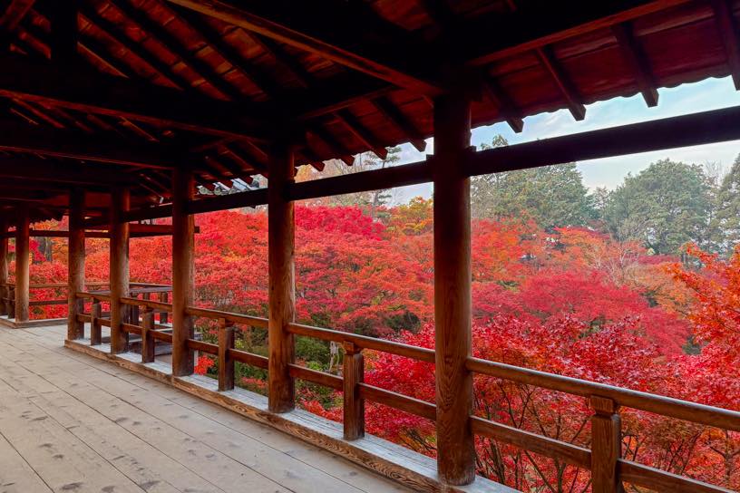 通天橋（撮影日：2025年11月27日）