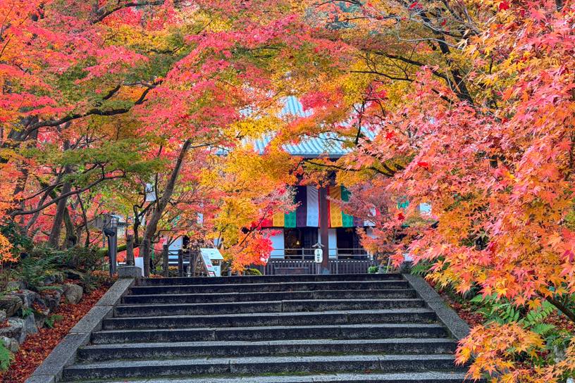 永観堂（撮影日：2025年11月28日）