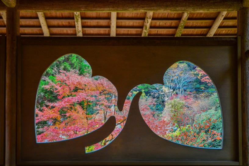 白龍園（撮影日：2025年11月28日）※観覧は予約制です