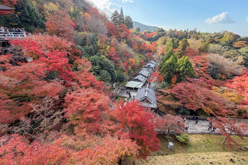 清水寺（撮影日：2025年11月28日）