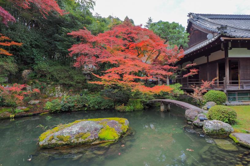 相阿弥の庭（撮影日：2025年11月28日）