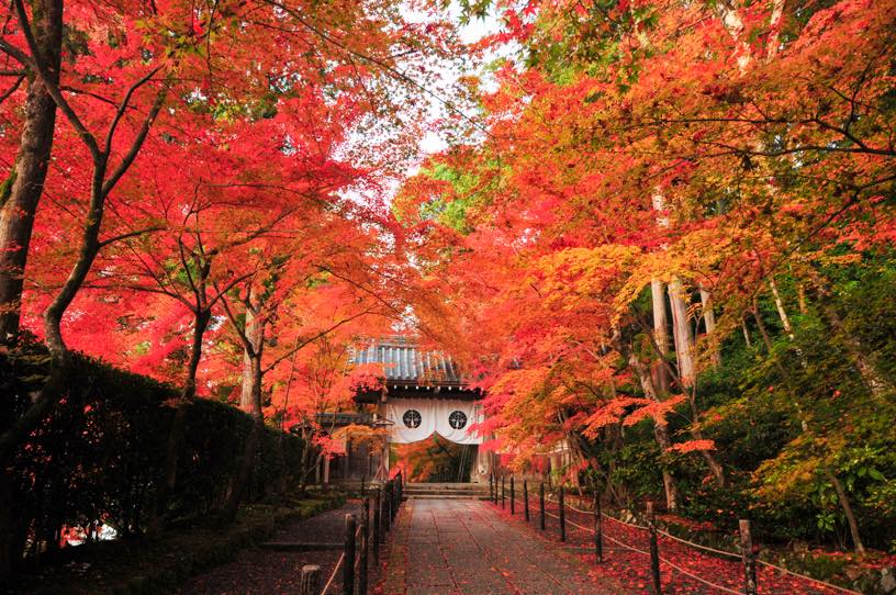 光明寺（撮影日：2025年11月27日）