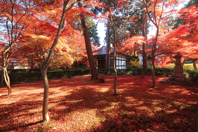 真如堂(撮影日:2023年12月4日)
