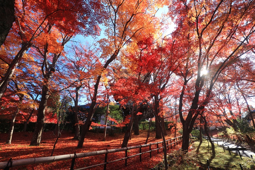 撮影日：2023年12月4日