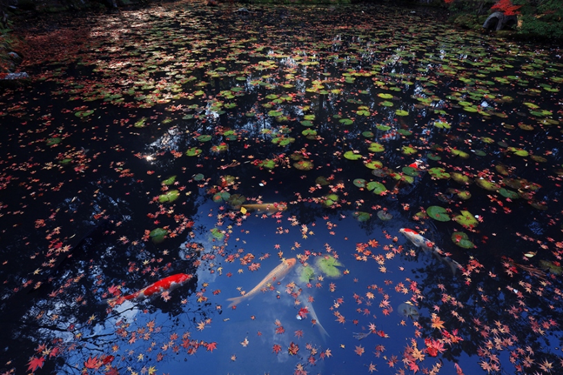 撮影日：2023年12月7日