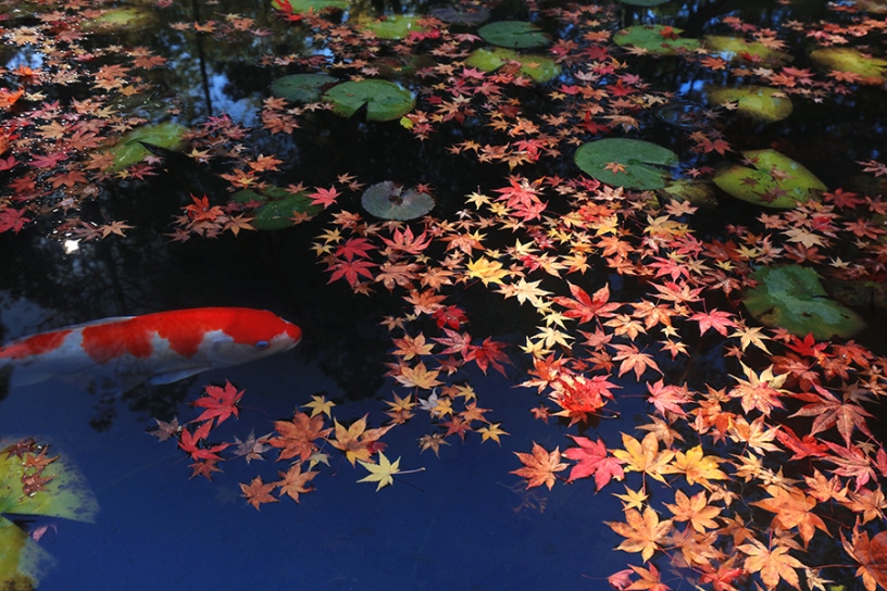 撮影日：2023年12月7日